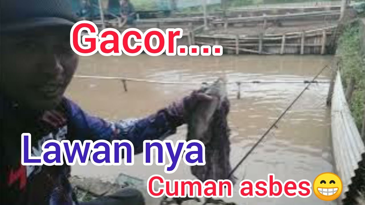 Keramat.... Lapak pojok. Mancing ikan mas di empang harian