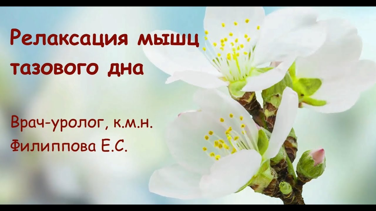 Релаксация тазового дна
