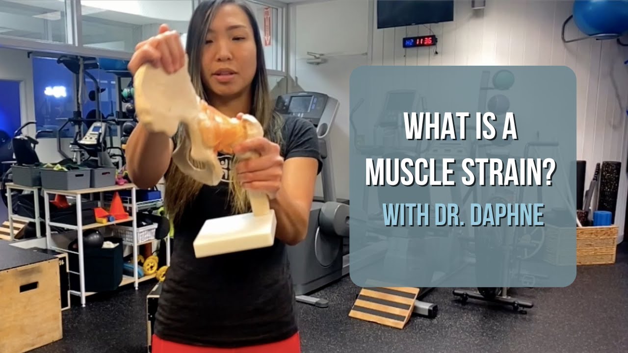 What Is A Muscle & Ligament Strain? - HealthFit Physical Therapy & Chiropractic
