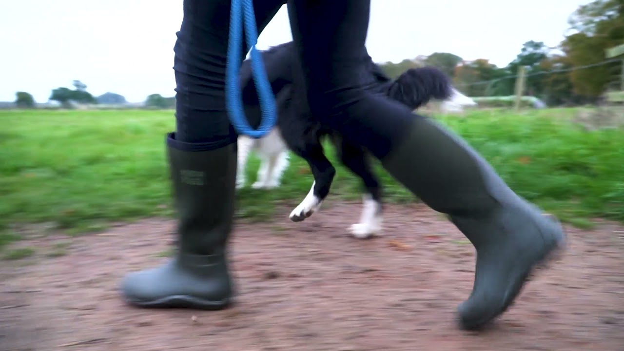 Mud Dogs Rutland | Shuperb&trade;