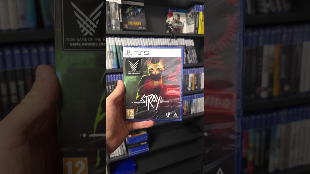 Stray раздадут подписчикам PS Plus в ноябре 2025.