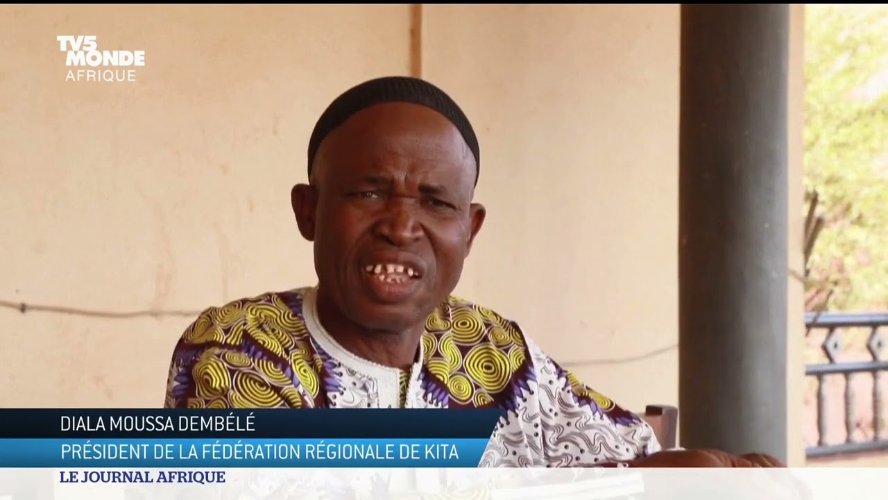 Mali : le pays reste le champion du coton