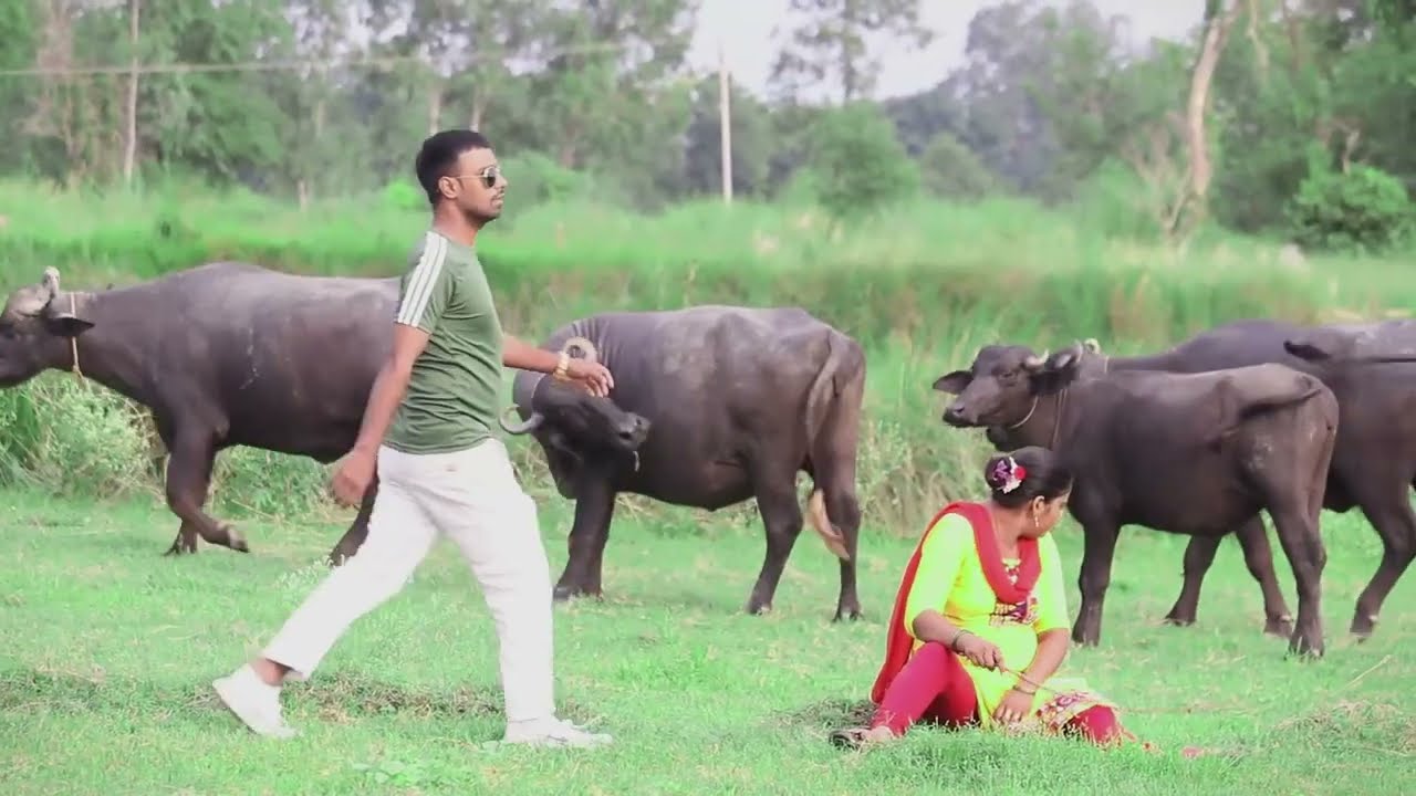टाइगर