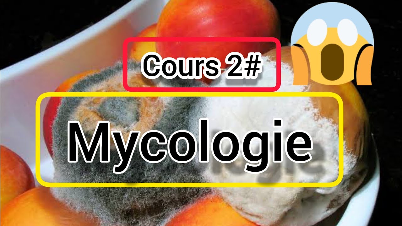 Mycologie#cours2#⚠️⚠️👍