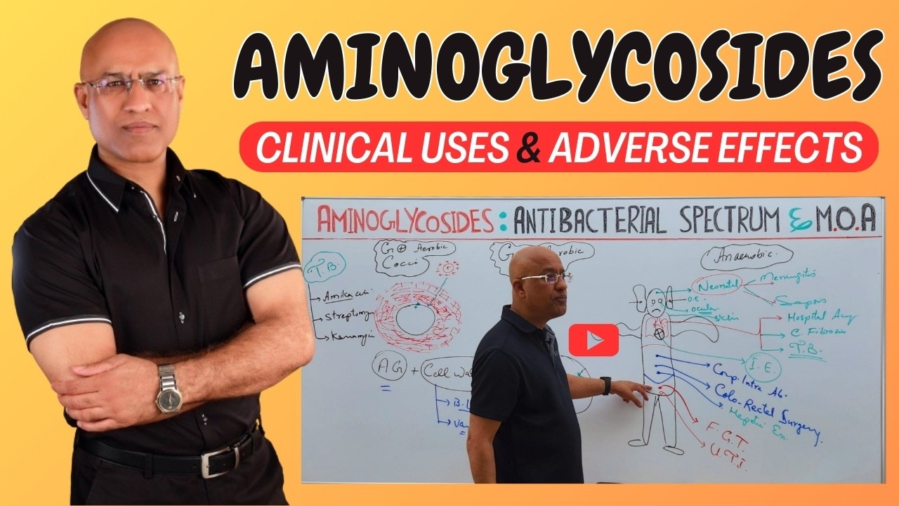 Aminoglycosides | Clinical Uses and Adverse effects 💊
