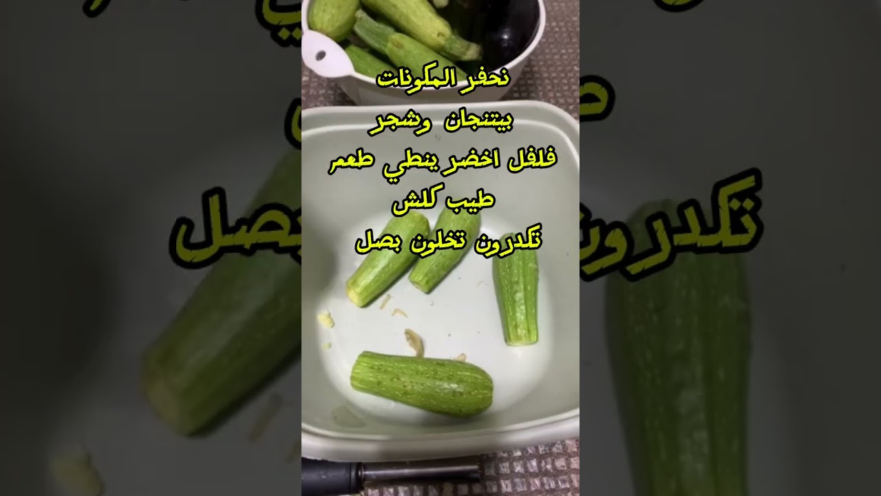 شيخ محشي#ضيفوني كونو سبب رزقي#اكل عراقي#اكسبلور #رجعوني #طبخ #اكلتك #food #رحنا #وصفات #العراق#