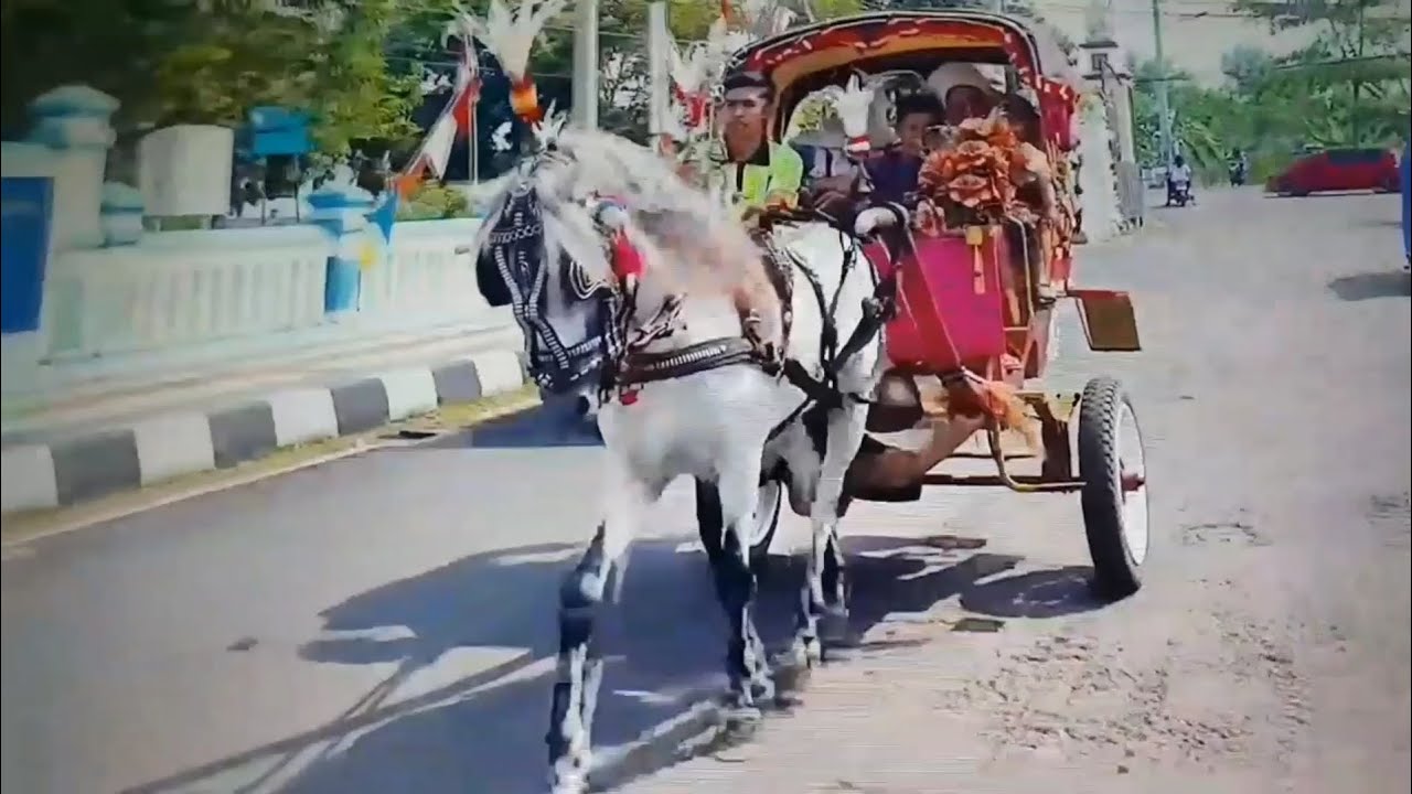 Tertip berlalu lintas
