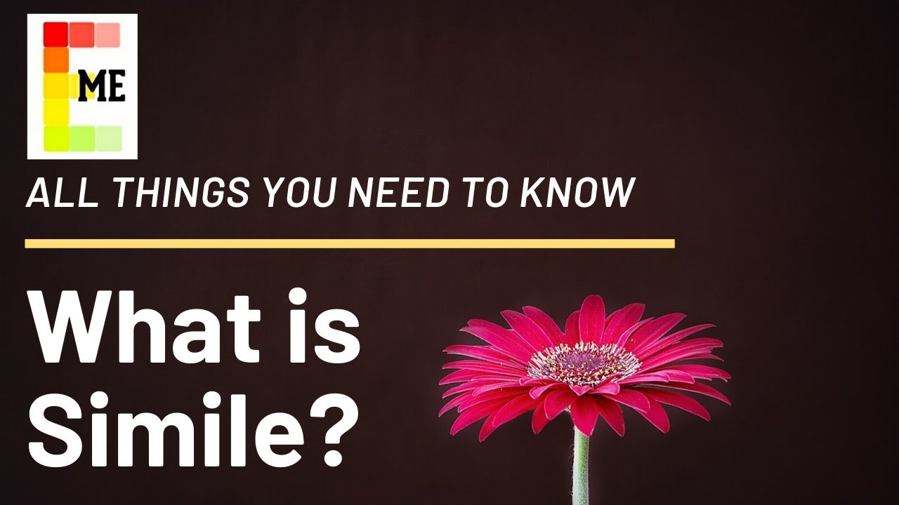 What is Simile? All things you need to know!