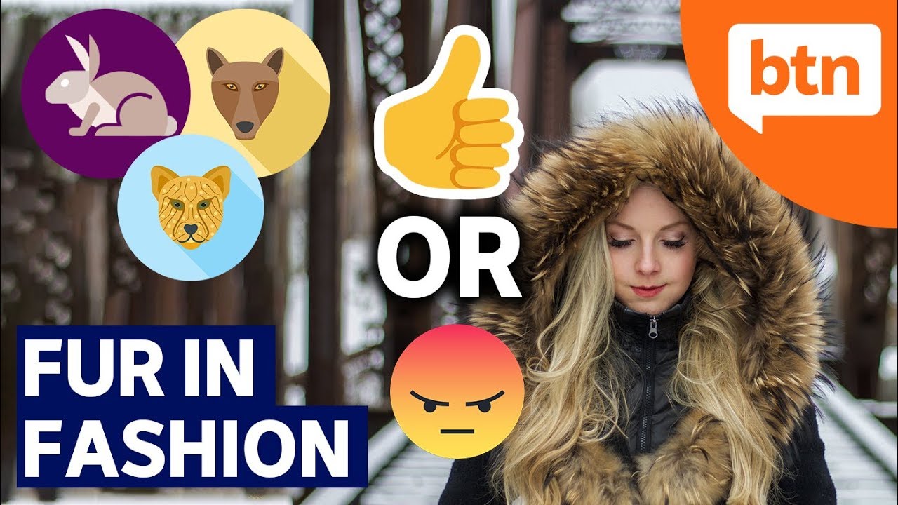 Fur in Fashion Debate: Is it okay to use animal products for fashion? – Today’s Biggest News