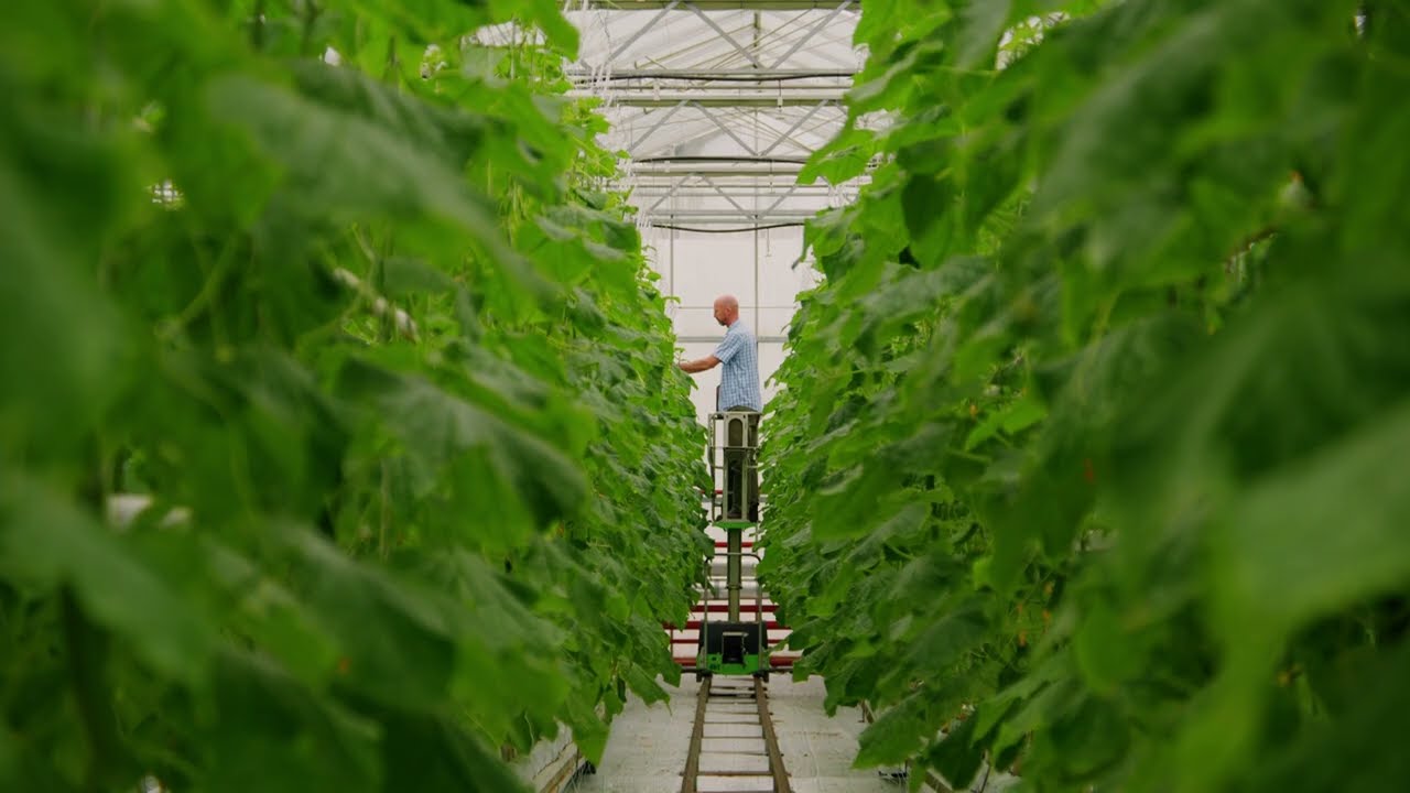 Vegetable Industry Showcase