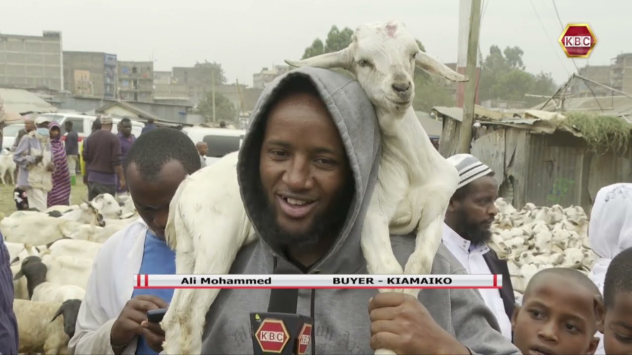 Traders at Kiamaiko market lament their businesses have dwindled due to high prices of livestock