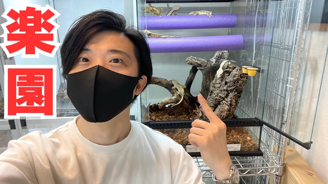 【多頭飼育】クレスの楽園を作ったら可愛すぎた...