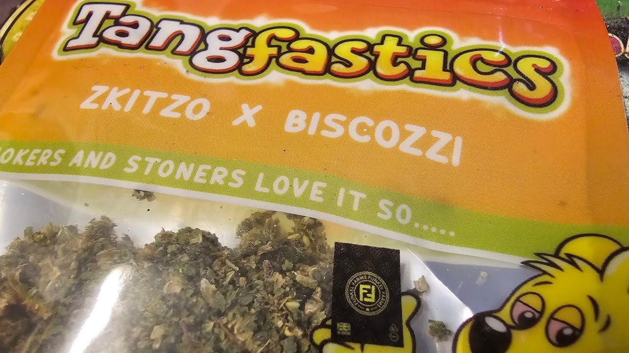 Tangfastics Bkitzo x Biscozzi Funkel Farms 