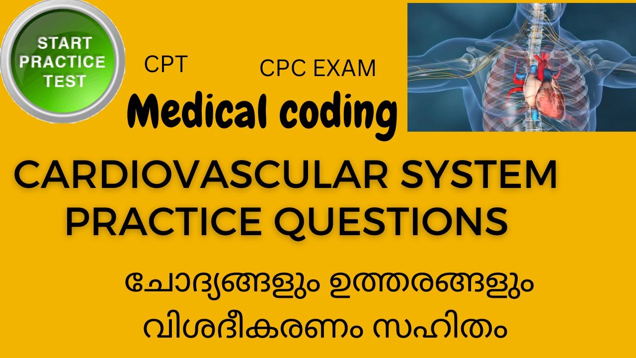 cardiovascular system practice questions with answers//Easy Medical Coding