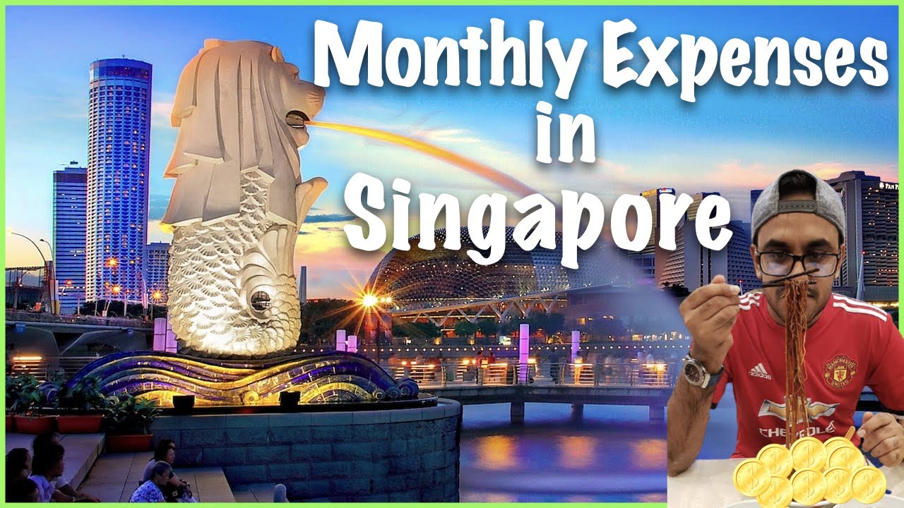 Monthly Expenses in Singapore | My Monthly Expenses | Tamil Video