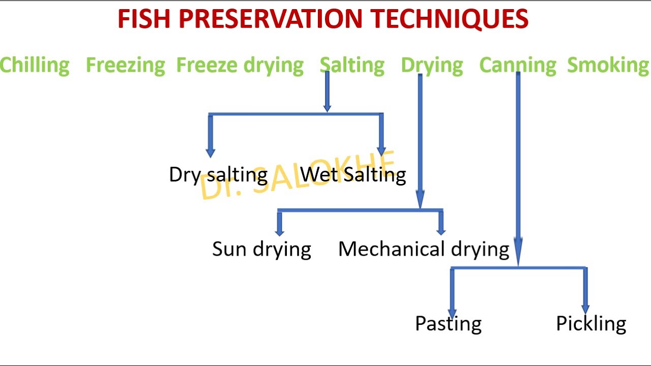 Fish preservation techniques part 1