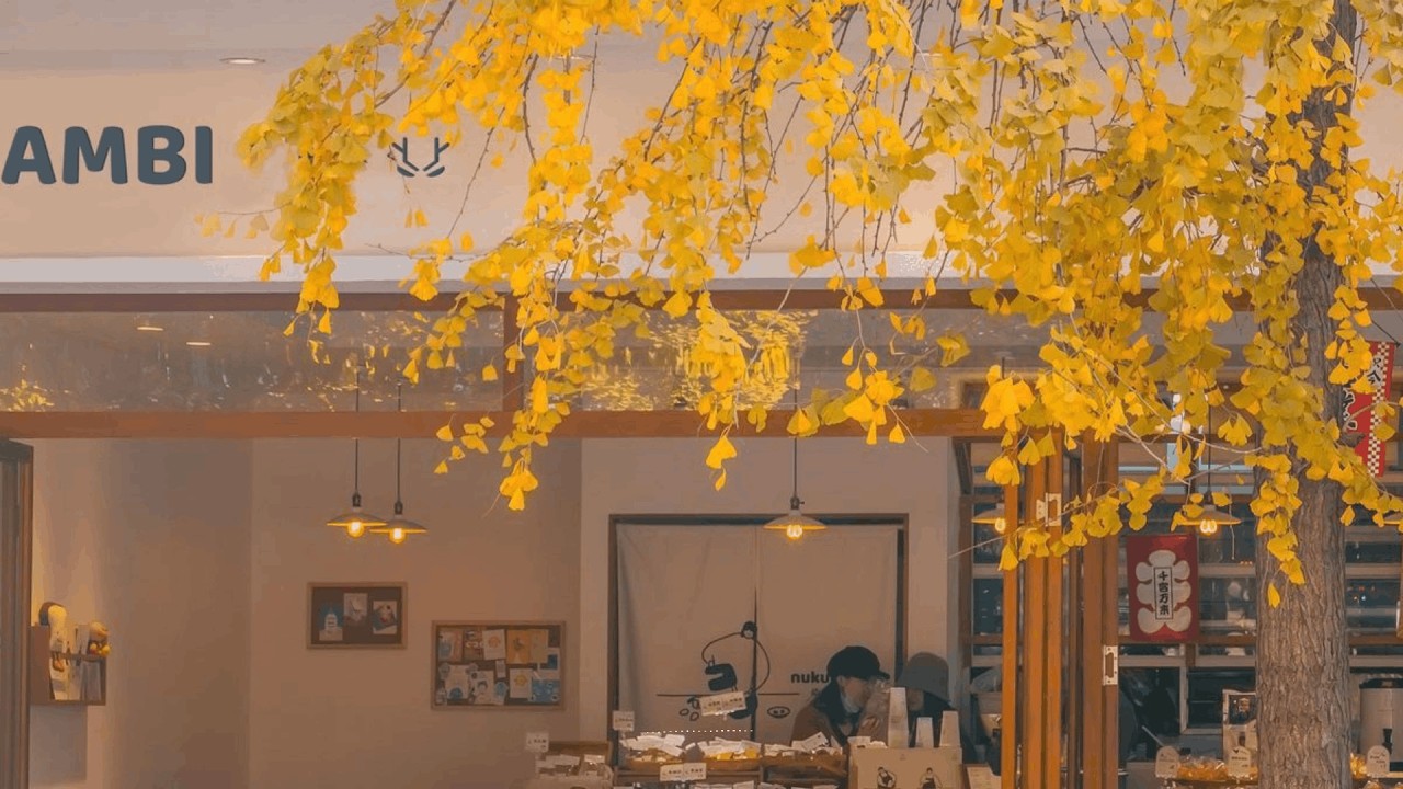 𝐏𝐋𝐀𝐘𝐋𝐈𝐒𝐓 | Coffee Shops in Soft Light