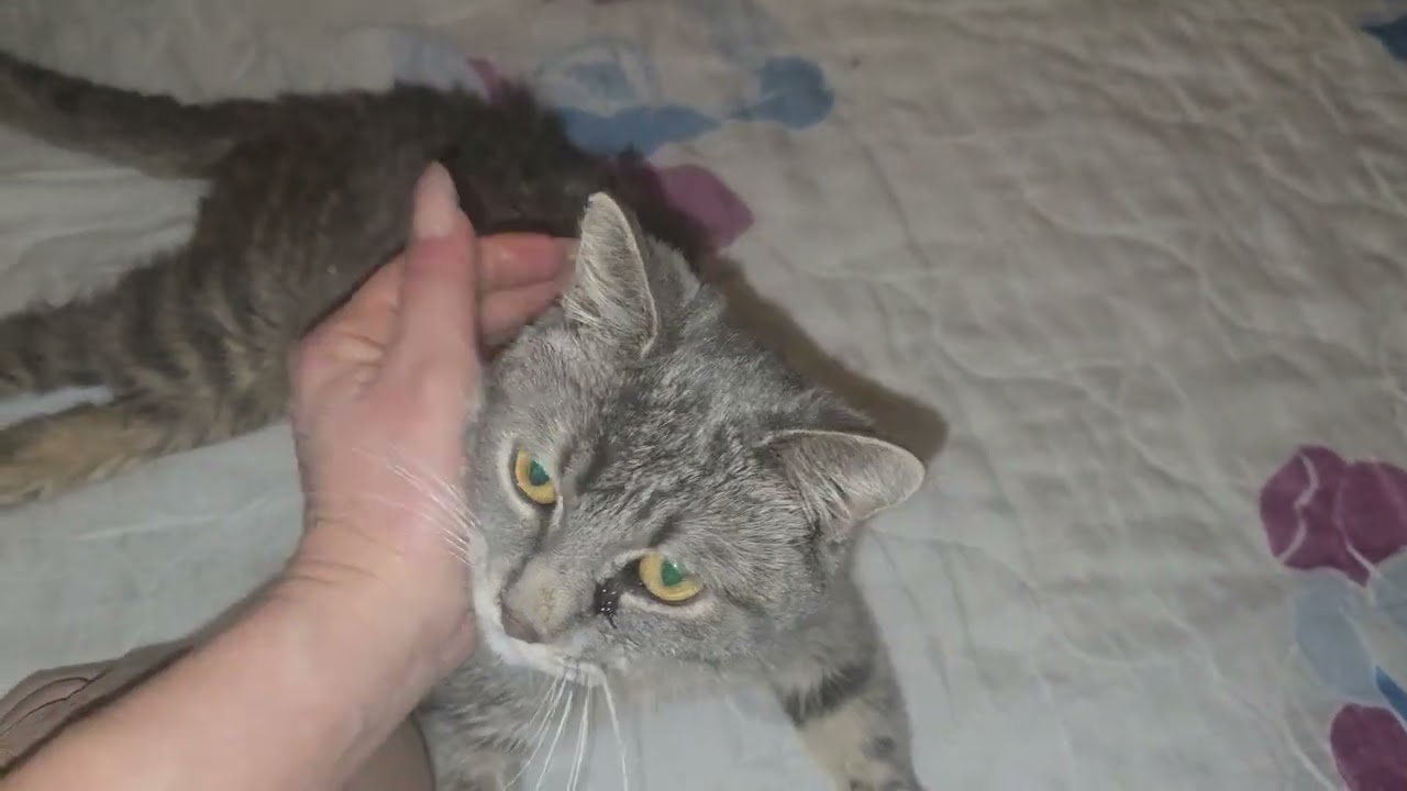 Хочу бежать без оглядки
