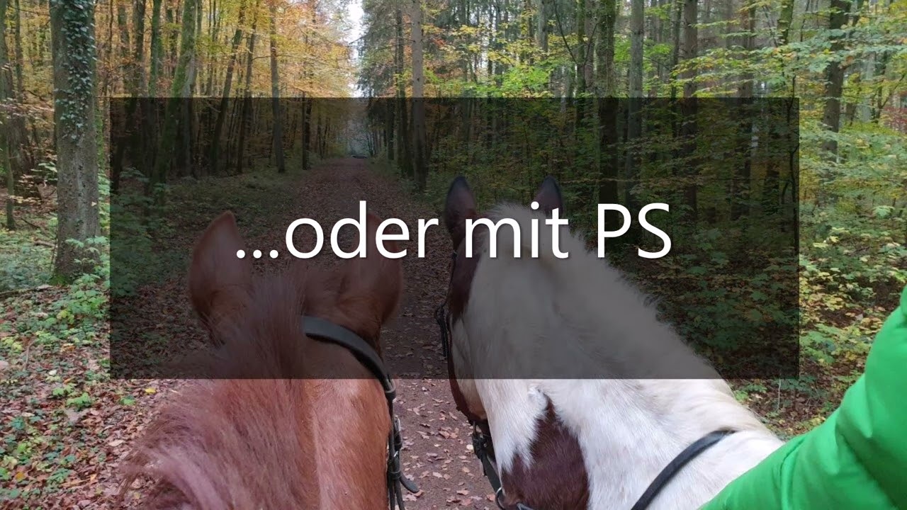 Bliesmengen-Bolchen – Unser Dorf hat Zukunft