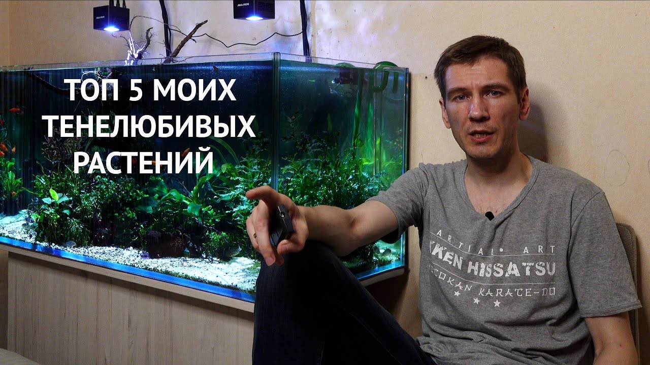 Топ 5 медленнорастущих растений