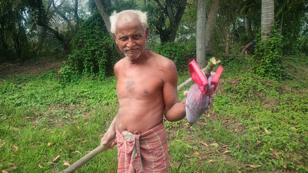আজ দাদু কলা গাছের মচা পাড়ল আর জিলে মাছের খাবার ফেলল | গ্রামের সুন্দর মুহূর্ত