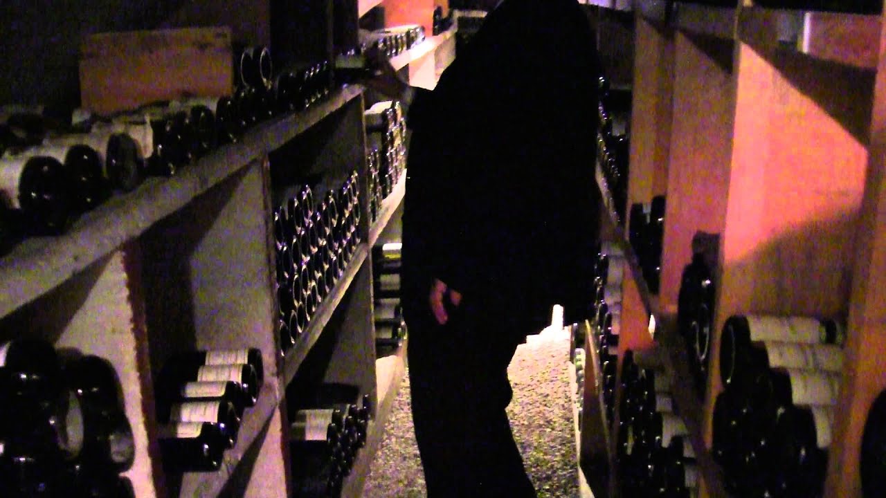 Wine cellar tour at Troisgros
