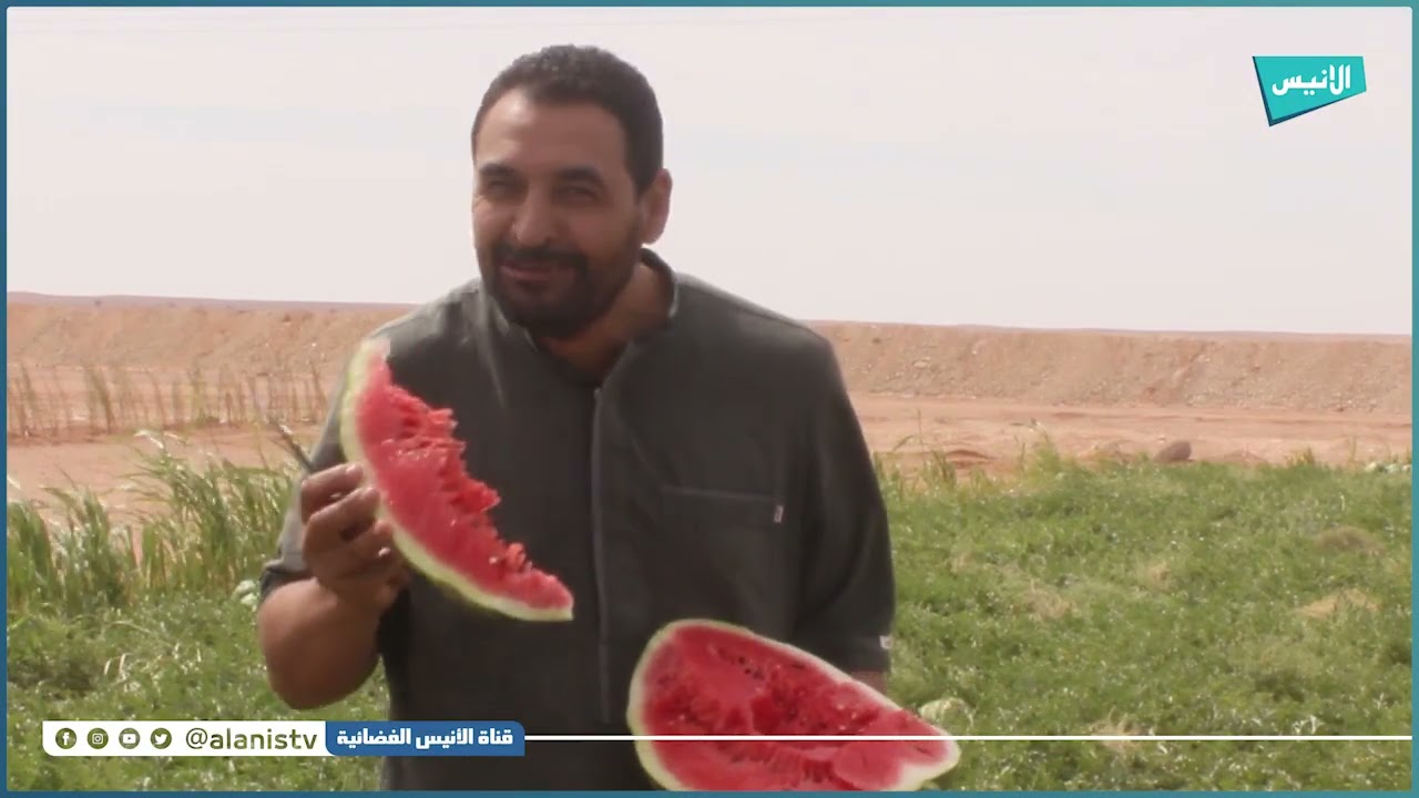 بدعم من بلدية أم العسل مستثمرة سالمي بتندوف نموذج ناجح في مجال الفلاحة
