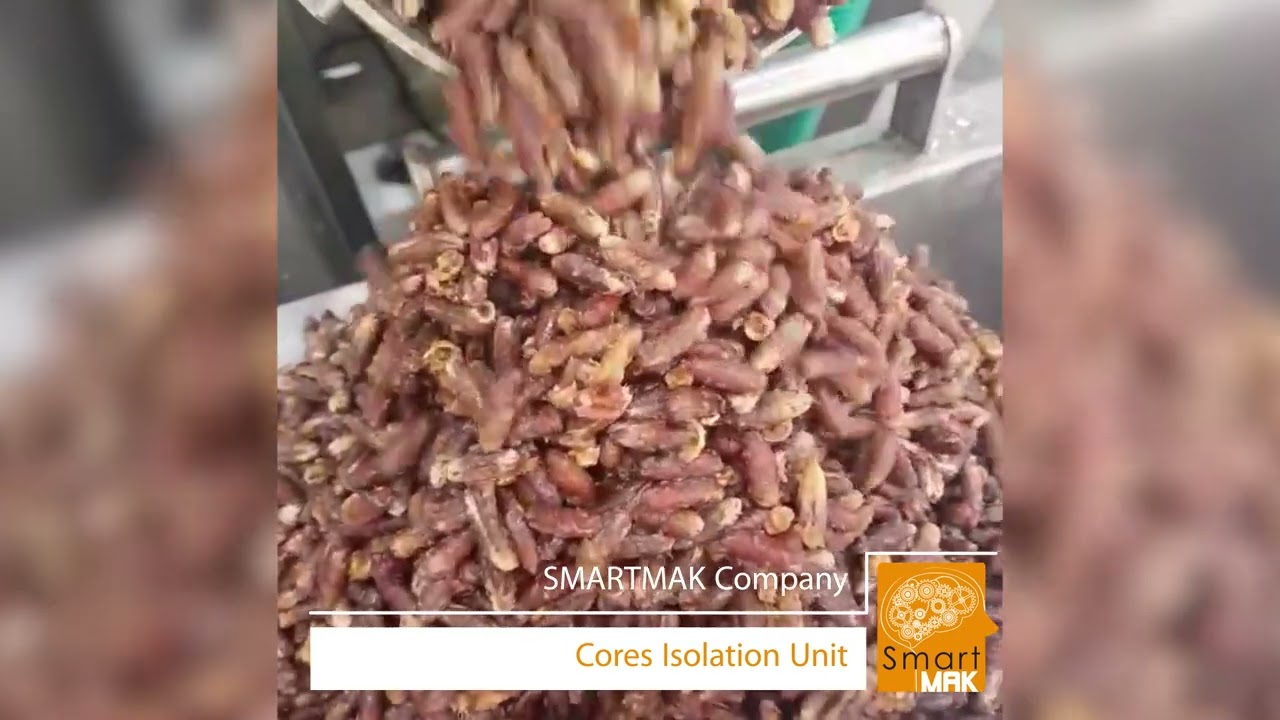 Dates Paste Production Line