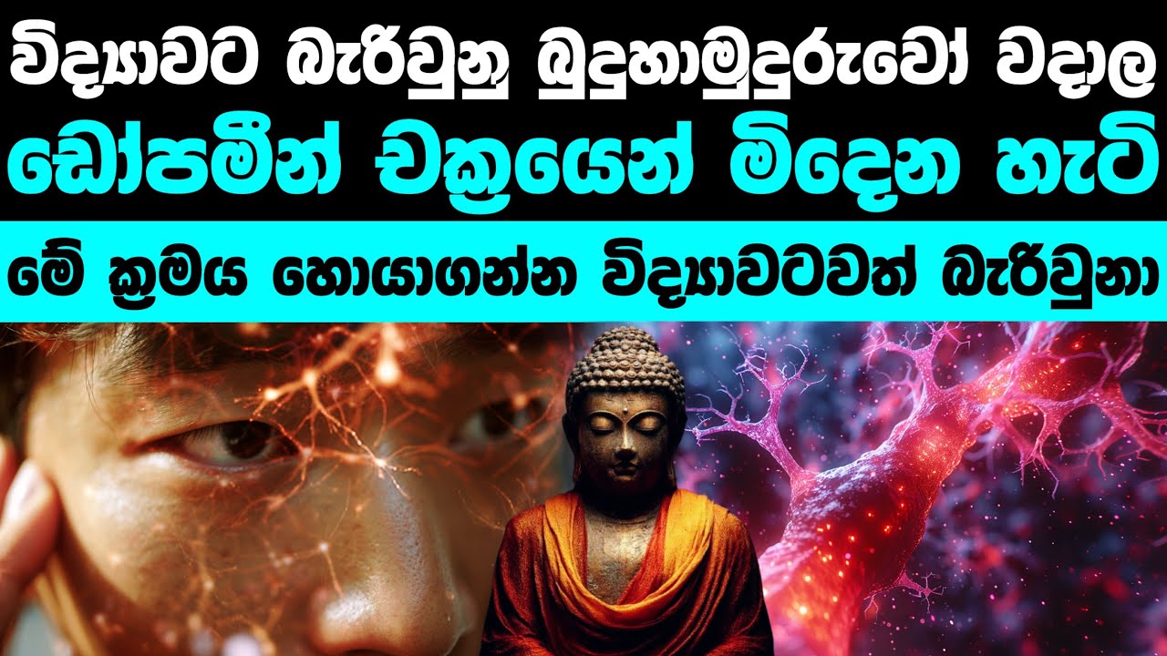 Addiction එක නැති කරන බුදුදහමේ ක්‍රමය | Dopamine Cycle and Buddhism