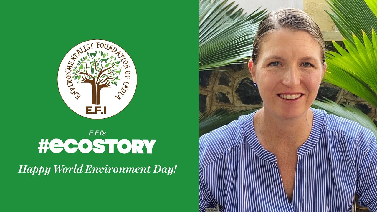 E.F.I's Eco-Story: Protecting our Oceans