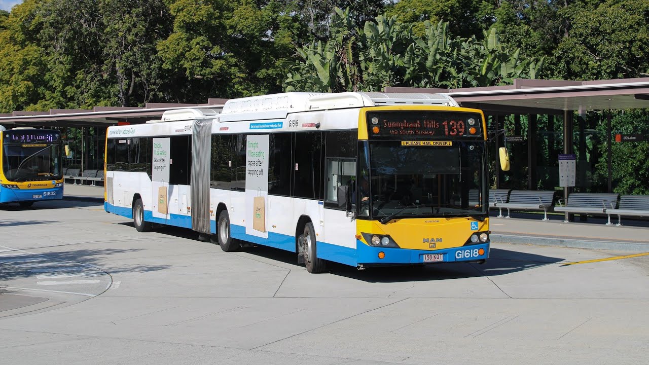 TransLink Buses: Buses at UQ Lakes