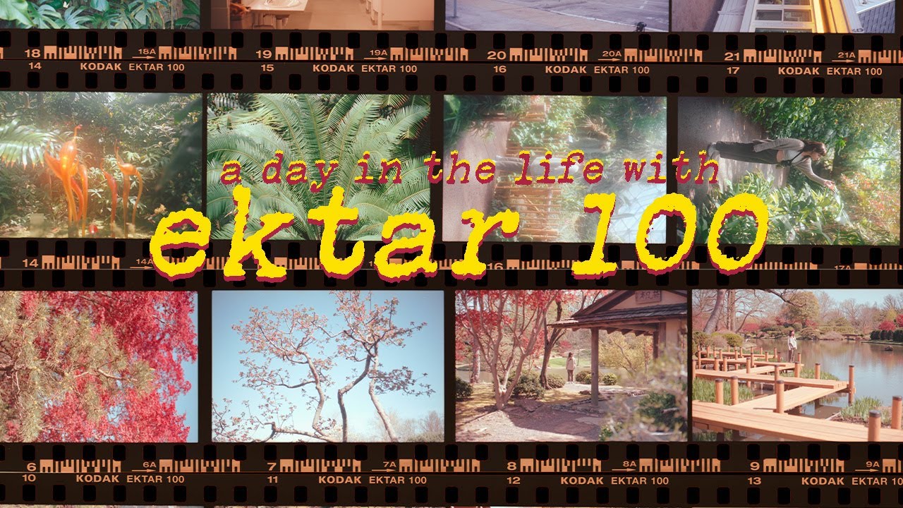 A Day in the Life on Ektar 100