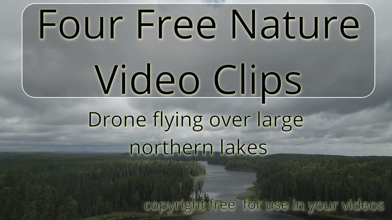 Experience the calm beauty of the north lakes and forest with these four free 4K drone clips