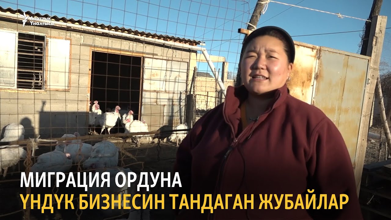 Миграция ордуна үндүк бизнесин тандаган жубайлар