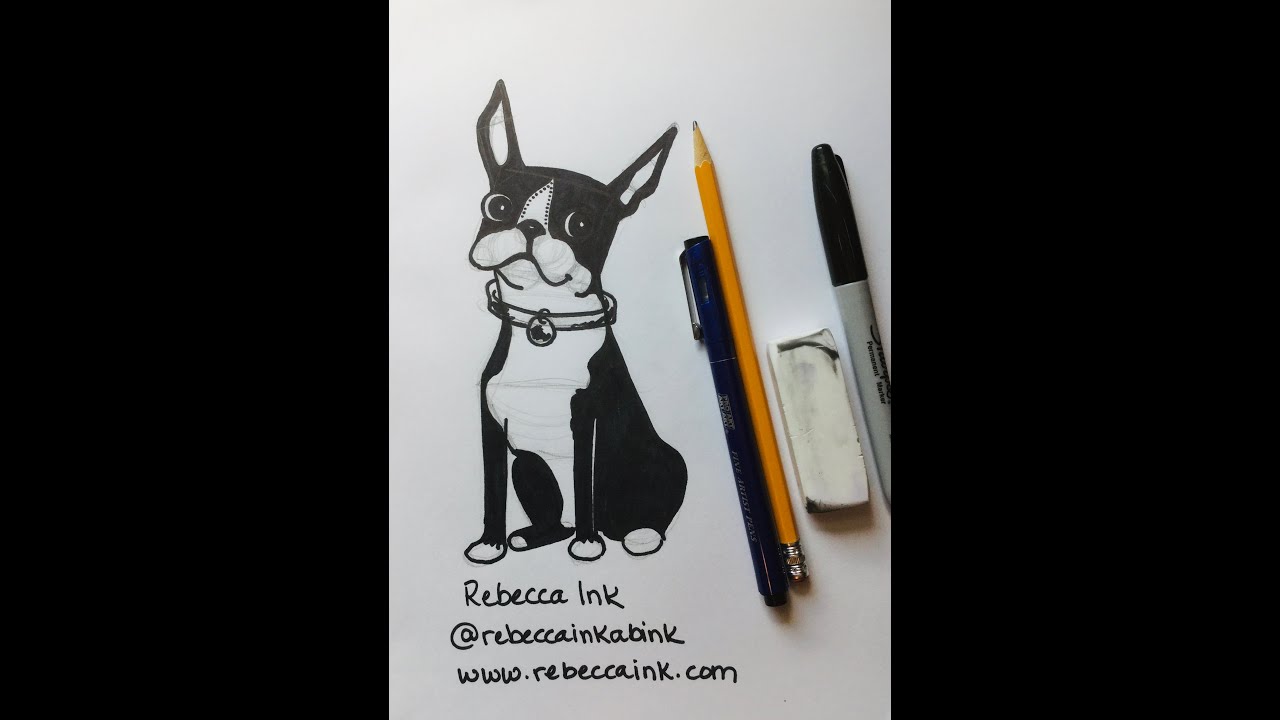How To Draw A Boston Terrier