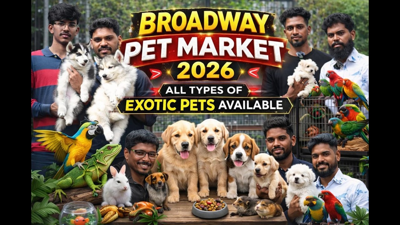Chennai BroadWay Pet Market| 2026 video#dog #broadwaypetmarket#petmarket#pets 22-02-26 #vlog #market