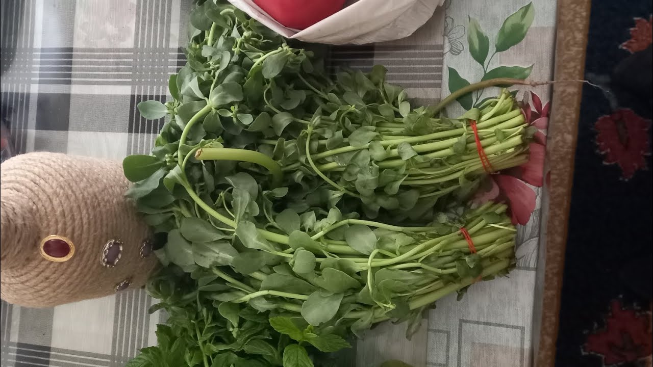 КАФЕДРА ЗДОРОВОГО ПИТАНИЯ И ФАКУЛЬТЕТ ВИТАМИННЫХ ПРОДУКТОВ ПРОФЕССОРА АХМЕДА КРАСАВЧИКА ПРЕДСТАВЛЯЕТ
