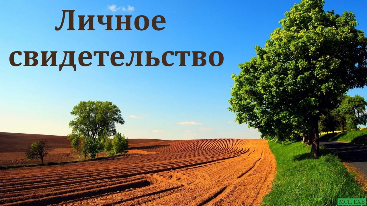 Личное свидетельство. С. Скрылёв. МСЦ ЕХБ.