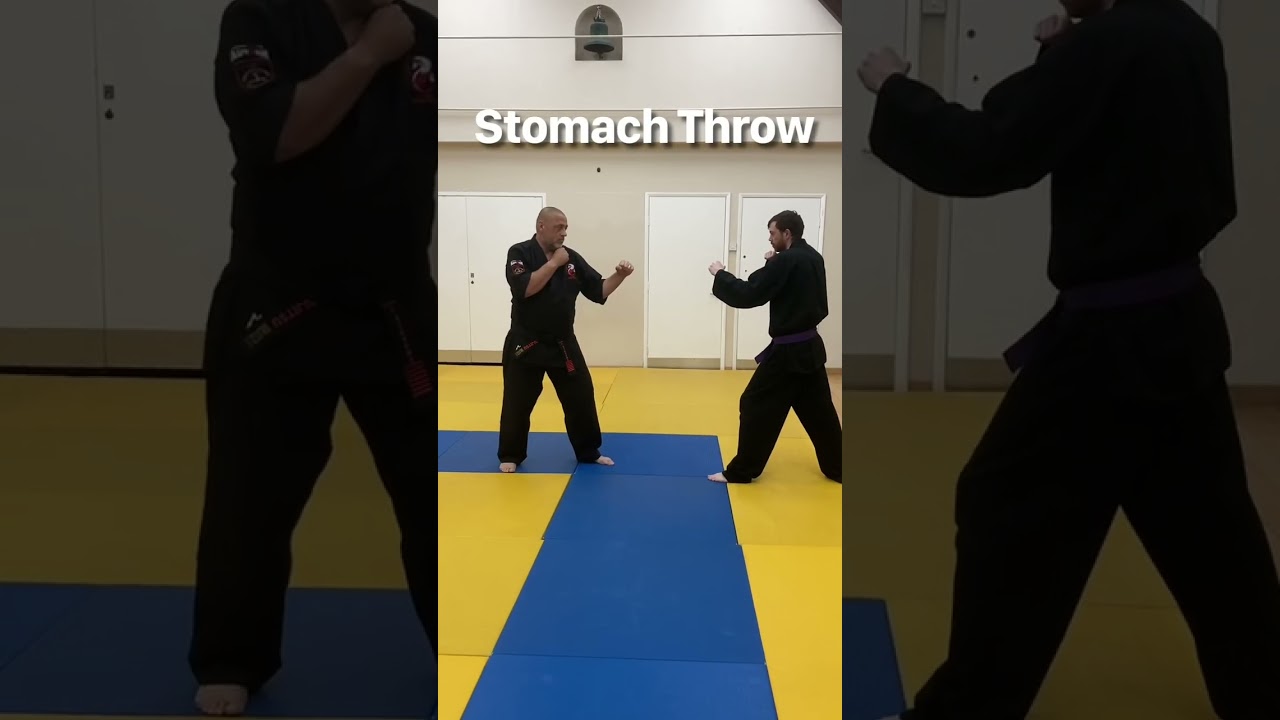 Blue Belt Syllabus Throws