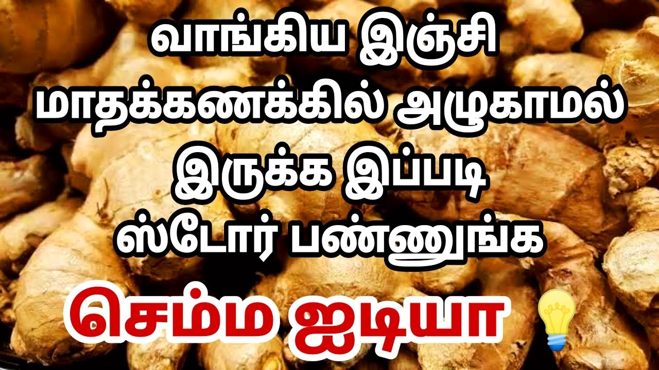 இஞ்சி மாதக்கணக்கில் அழுகிப்போகாமல் இருக்க அருமையான டிப்ஸ்/How to store ginger for long in tamil