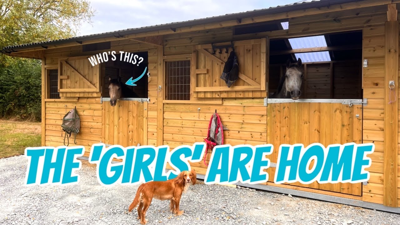 MOVING INTO OUR NEW STABLES - Affie has a new companion! 