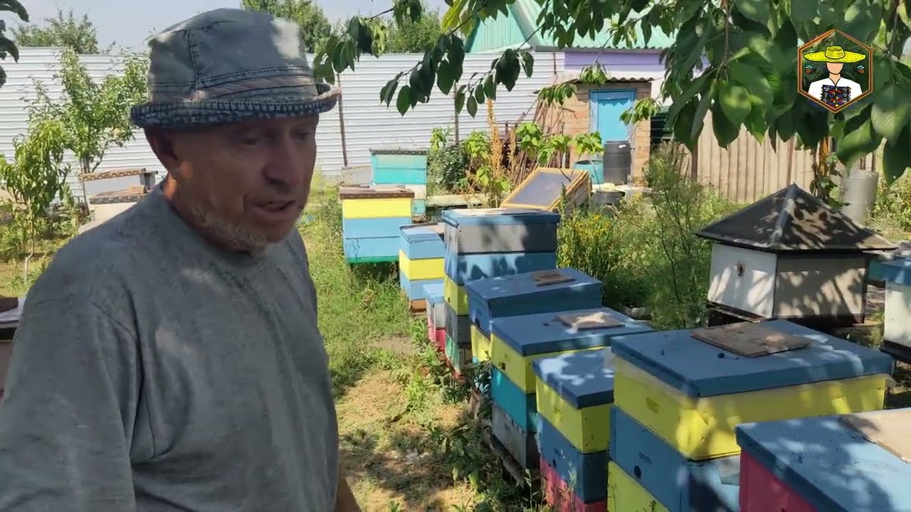 Технологія роботи з відводками ПОВНИЙ ЦИКЛ 2024. Пасіка Величко