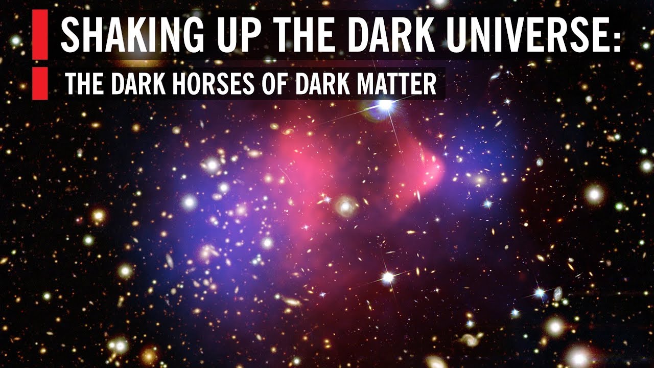 Shaking Up the Dark Universe: The Dark Horses of Dark Matter