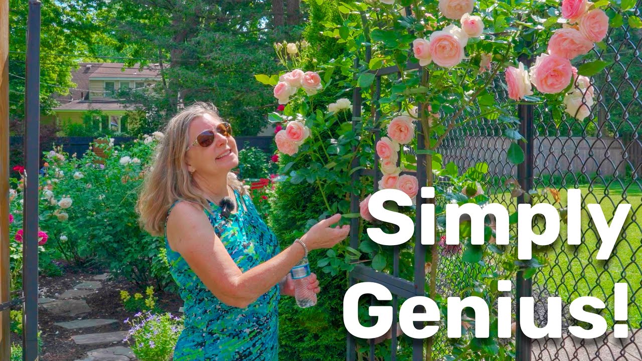 Her simple but genius way of building a secret backyard oasis