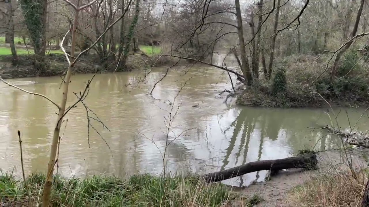 7.2.2026 Grey skies, drizzle rain, river burst its bank, keep walking ☺️