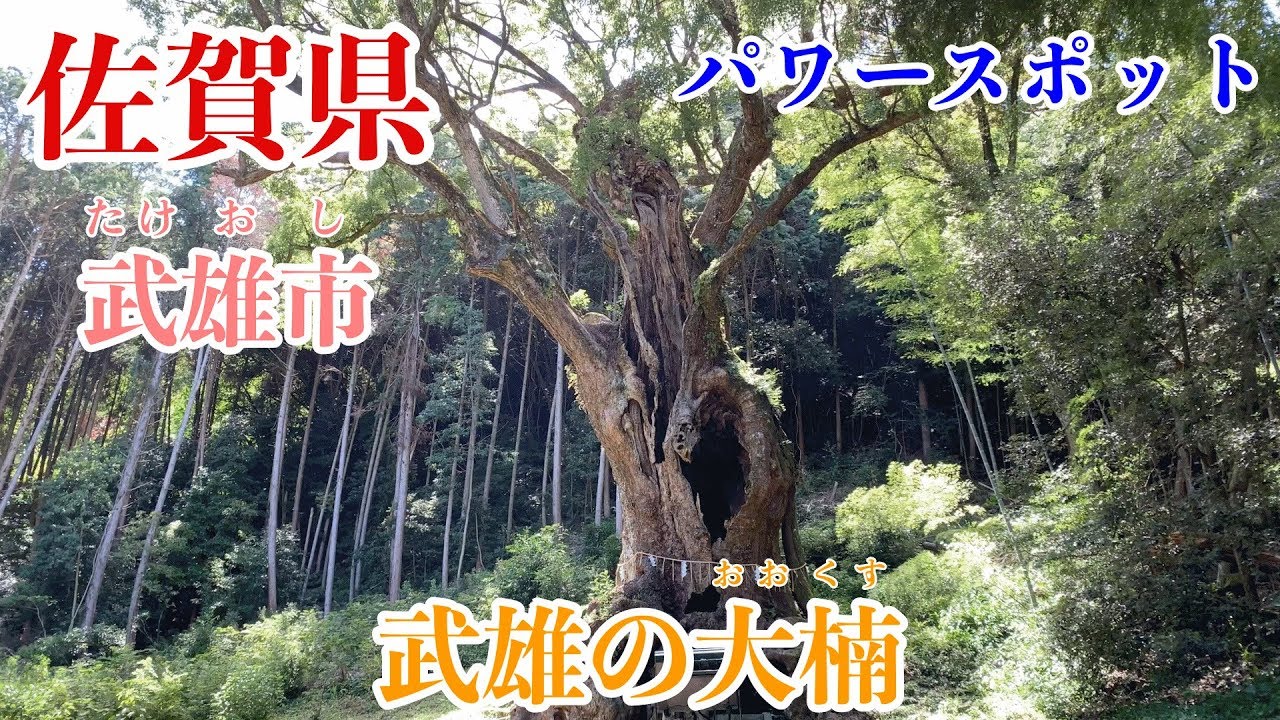 【パワースポット】樹齢3000年の武雄の大楠