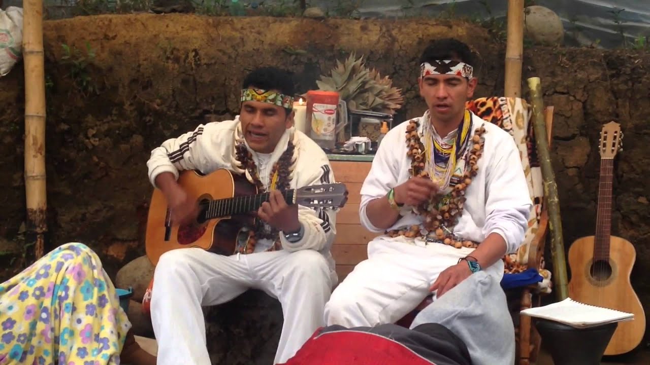 Taita Henrry Muchavisoy - Musica medicina