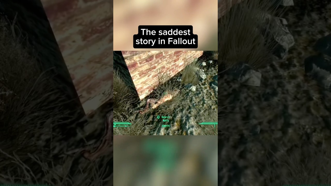 The saddest story in Fallout #fallout #falloutgameplay #fallout3