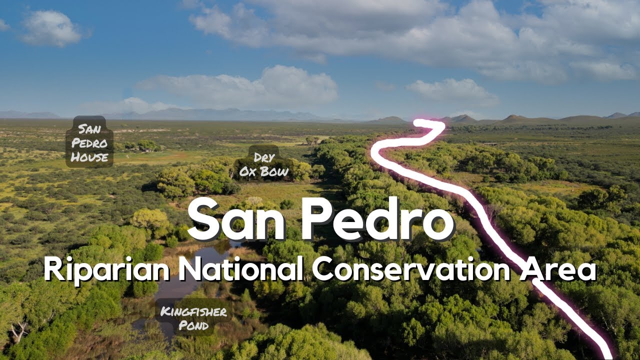 Hiking & History along the San Pedro River | Sierra Vista Arizona | SPRNCA