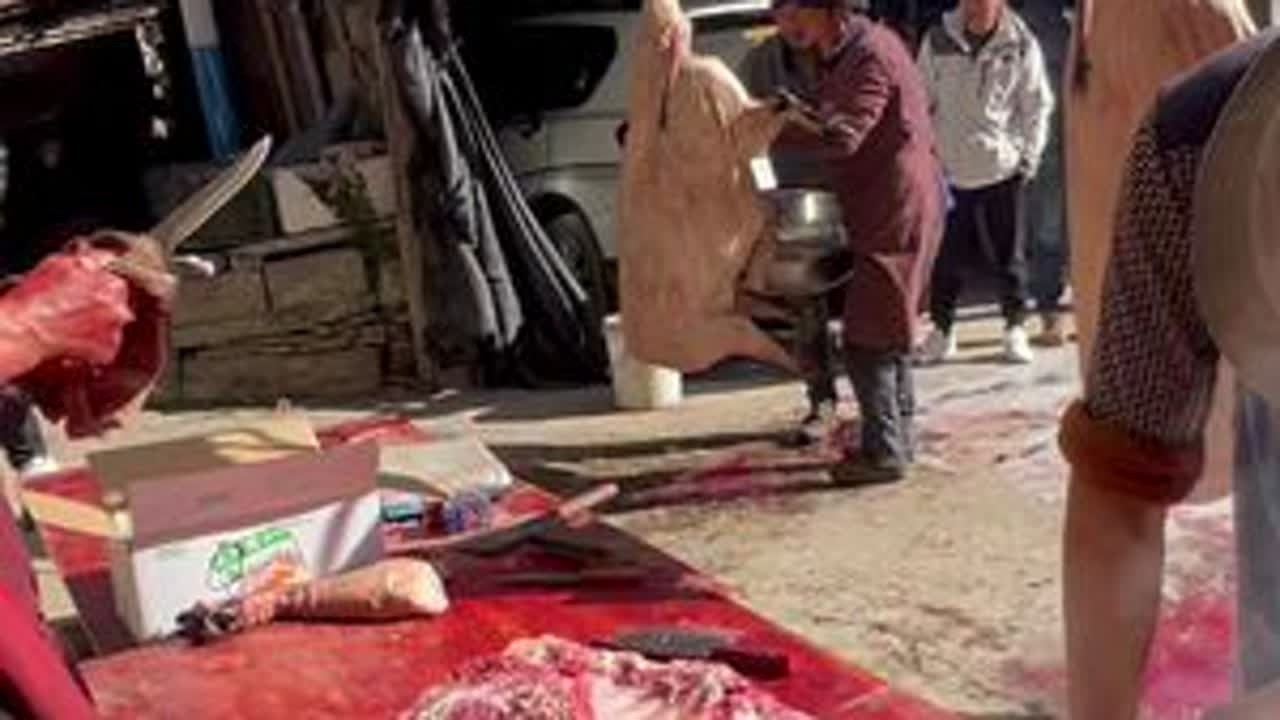 藏区农村土猪做腊肉，刚刚分割好就抹盐，5头土猪2小时就弄完 #乡村守护人 #新农人计划2024 #我的乡村生活 #杀年猪 #腊肉